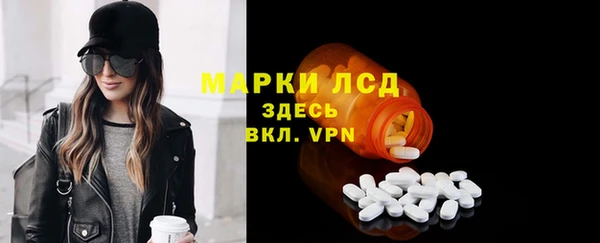 PSILOCYBIN Тында